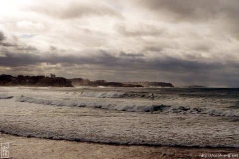 Manly beach - Plage de Manly - 480 * 320