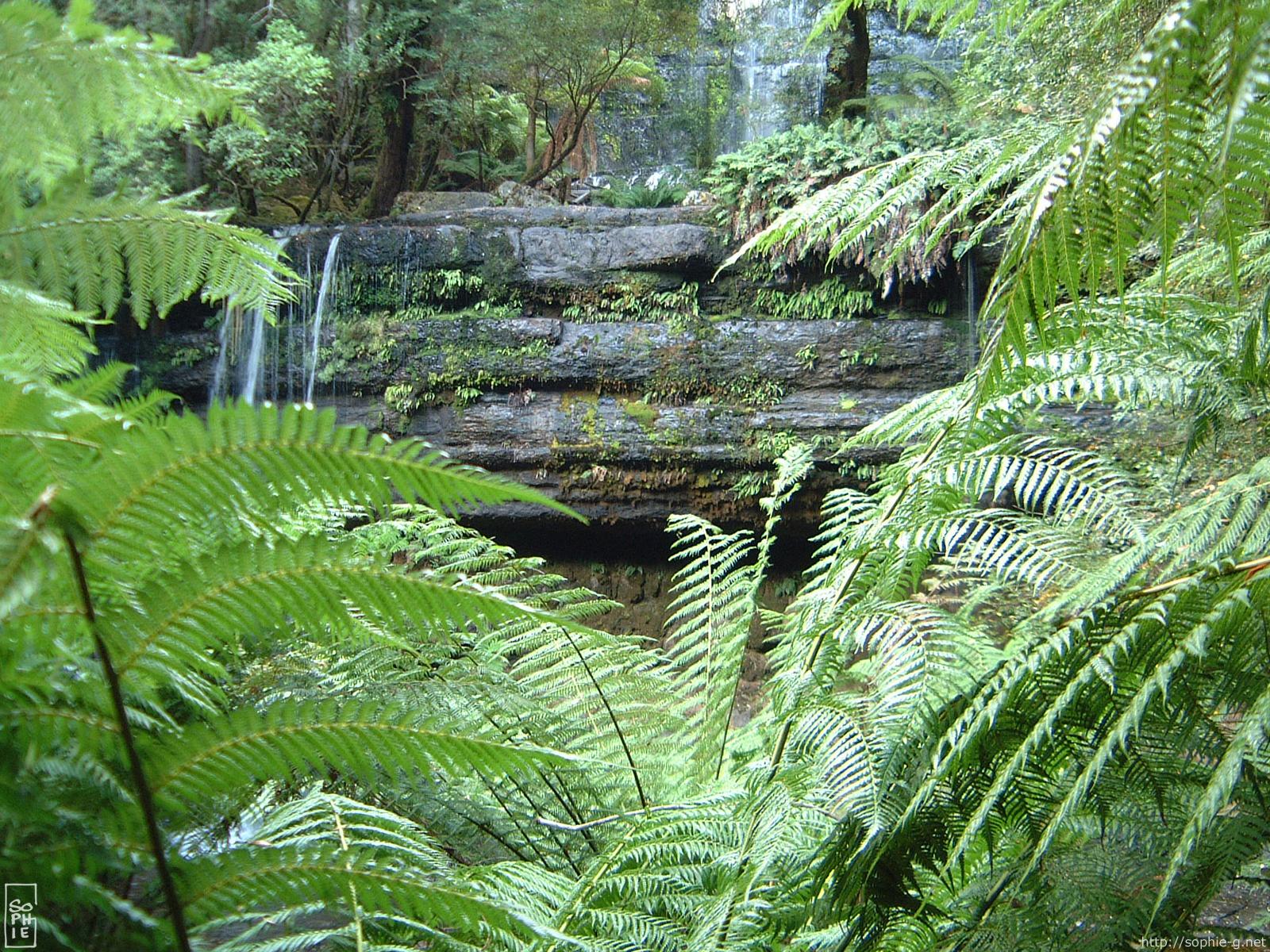 Russell falls - Cascade Russell falls\ - 1600 * 1200