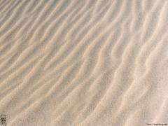 Sand ripples—1024×768 Sand ripples—1024×768