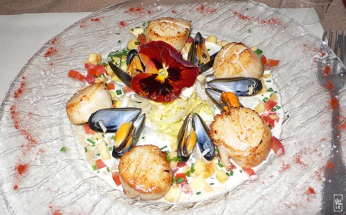 Le Saint Ex - Salade de coquilles St Jacques