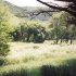 Campagne