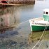 Reflet