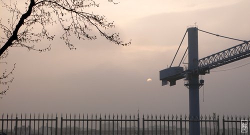 Crane and sun - Grue et soleil