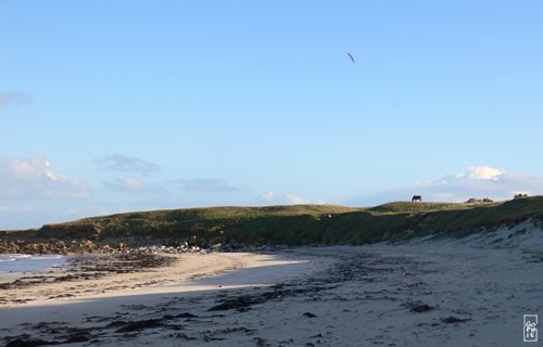 Batz island - Île de Batz