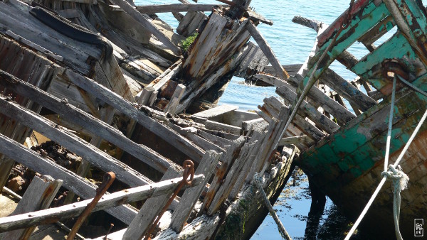 Abandoned boats - Bateaux abandonnés