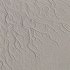 Traces sur le sable