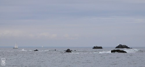 Glénan islands - Îles des Glénan