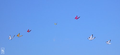 Kites - Cerfs-volants