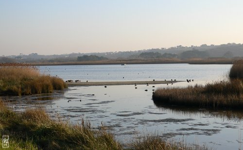 Curnic pond - Étang du Curnic