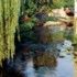 Riviere