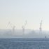 Grues de Brest dans la brume