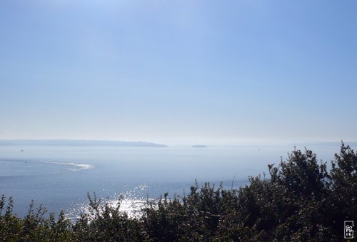 Harbour - Rade