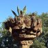 Park Güell