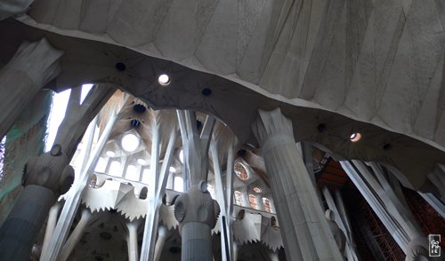 Nave - Nef
