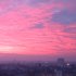 Pink sunrise
