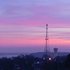Pink sunset