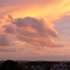 Orange sunset