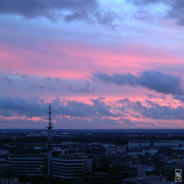 Red and violet - Rouge et violet