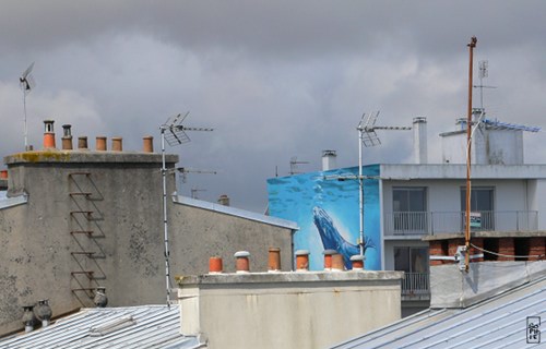 Whale mural - Baleine sur une fresque