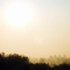 Dawn