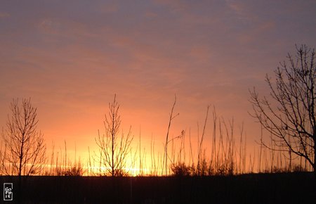 Sunrise - Lever de soleil