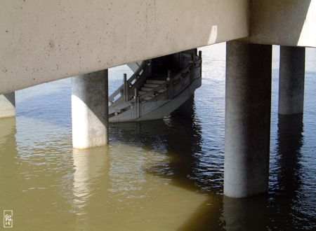 Flooded staircase - Escalier inondé