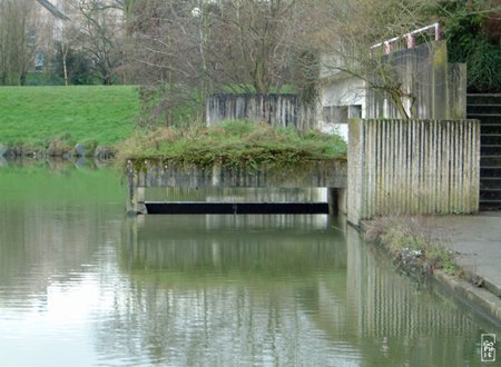 Pond - Etang