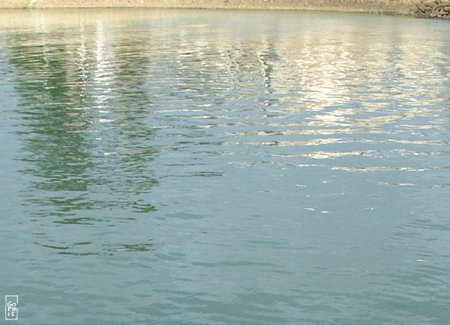 Reflection - Reflet