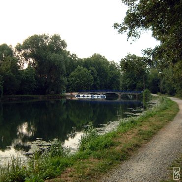 Path - Chemin