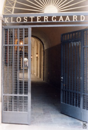 Wrought iron gate - Grille de fer forgé