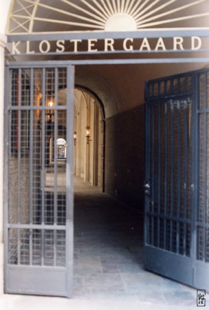 Wrought iron gate - Grille de fer forgé