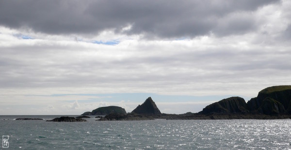 Rabbit island & Stack of beans