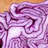 Red cabbage