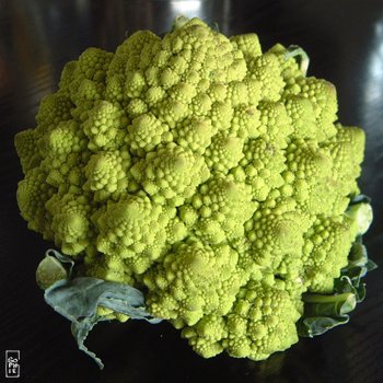 Romanesco cauliflower - Chou Romanesco