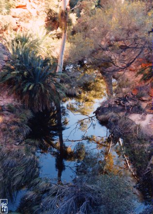 Garden of Eden - Jardin d’Eden