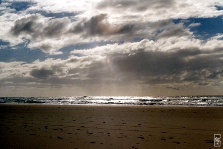 Gold coast waves - Vagues de la Gold Coast