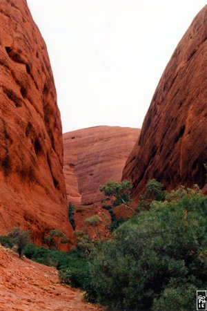 Kata Tjuta