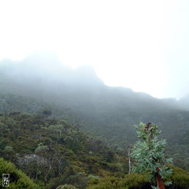 Low clouds - Nuages bas