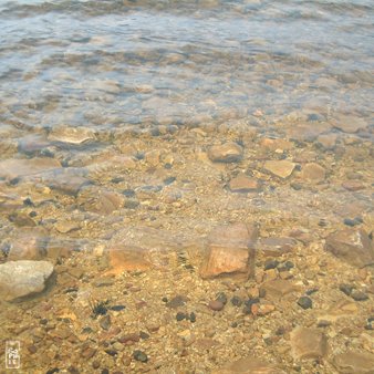 Yellow water - Eau jaune